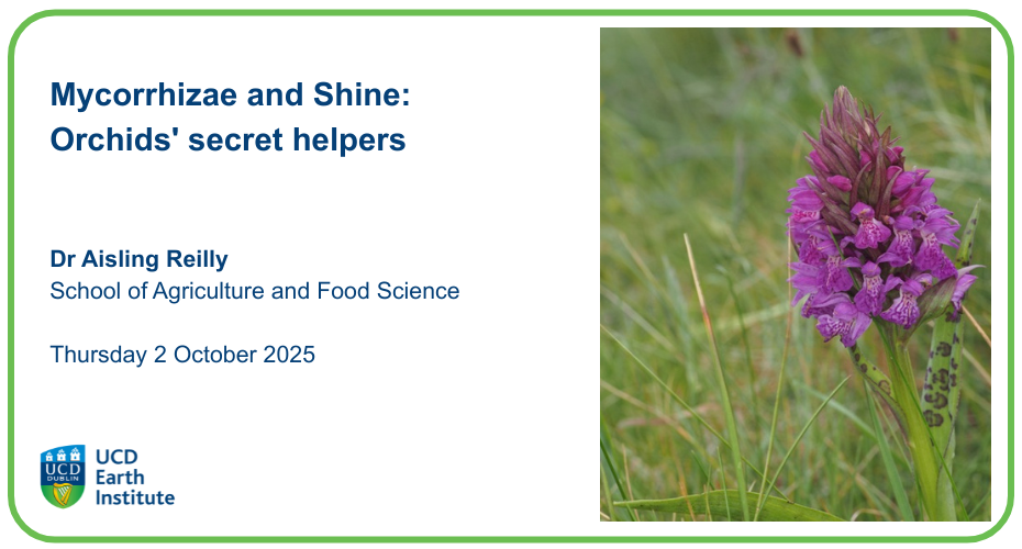 Aisling Reilly Coffee Morning orchid pic